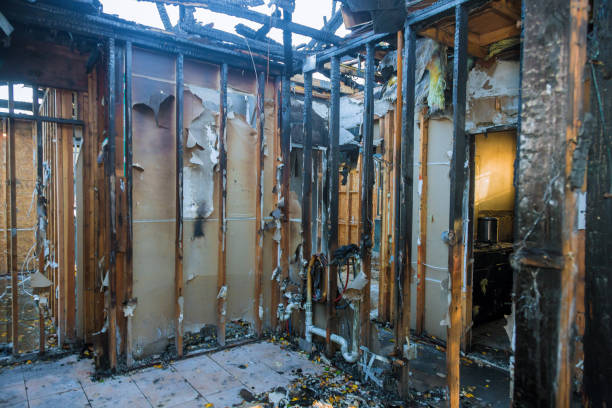 Professional Soot Removal technician working in Prospect Park, PA